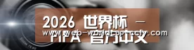 公司动态