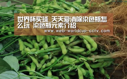 世界杯买球_天天爱消除染色瓶怎么玩 染色瓶元素介绍(图3) 2026世界杯