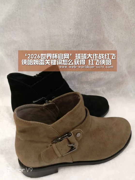 ‘2026世界杯官网’球球大作战红飞侠哈姆雷关键词怎么获得 红飞侠哈姆雷关键词图鉴(图2) 2026世界杯官网