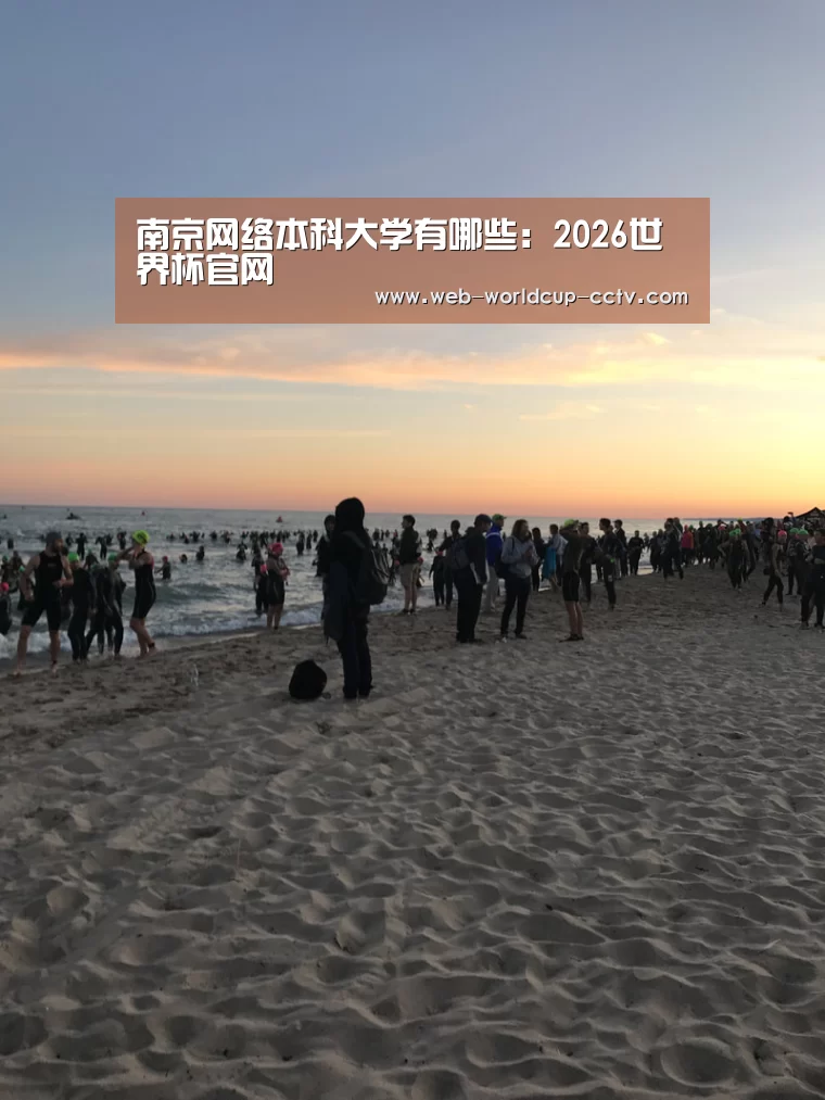 南京网络本科大学有哪些:2026世界杯官网(图2) 世界杯买球