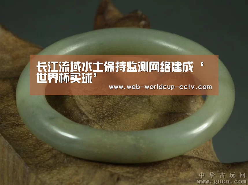 长江流域水土保持监测网络建成‘世界杯买球’(图1) 2026世界杯官网