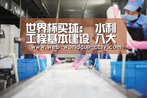 世界杯买球:
水利工程基本建设 八大法式 你懂吗?(图2) 2026世界杯官网