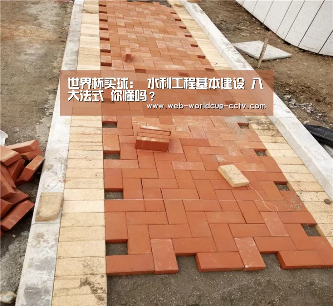 世界杯买球:
水利工程基本建设 八大法式 你懂吗?(图4) 世界杯买球