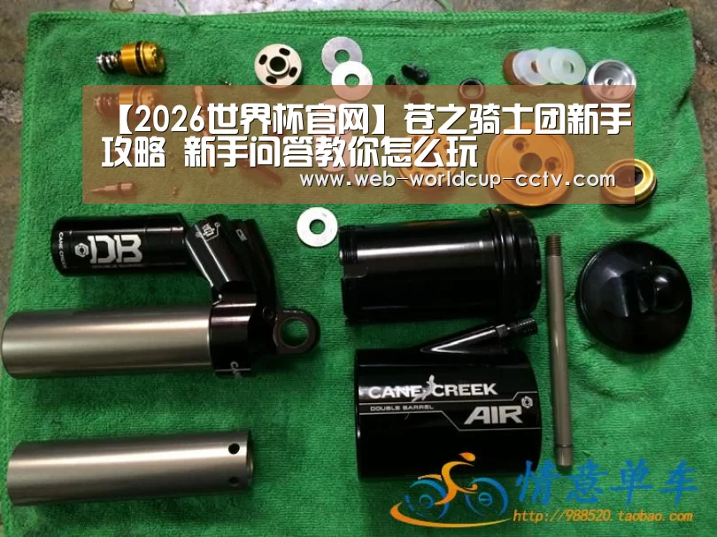 【2026世界杯官网】苍之骑士团新手攻略 新手问答教你怎么玩(图2) 世界杯买球