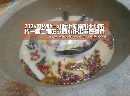 2026世界杯官网