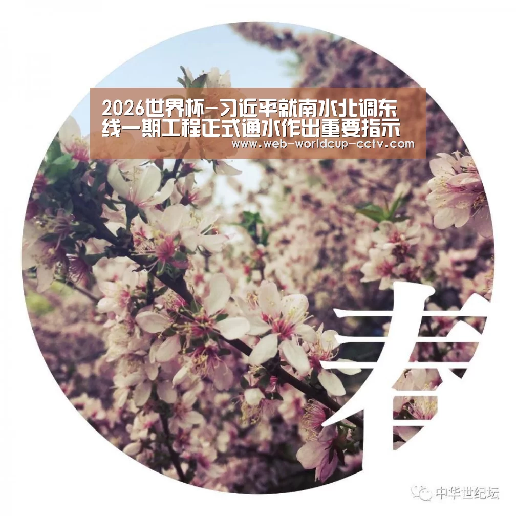 世界杯买球