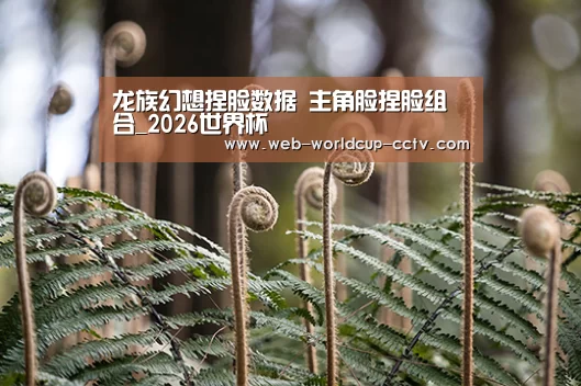 龙族幻想捏脸数据 主角脸捏脸组合_2026世界杯(图4) 2026世界杯官网