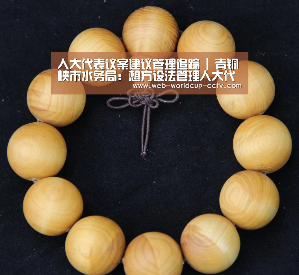 人大代表议案建议管理追踪 | 青铜峡市水务局:想方设法管理人大代表建议 真真切切解决群众排灌难问题-2026世界杯官网(图1) 世界杯买球