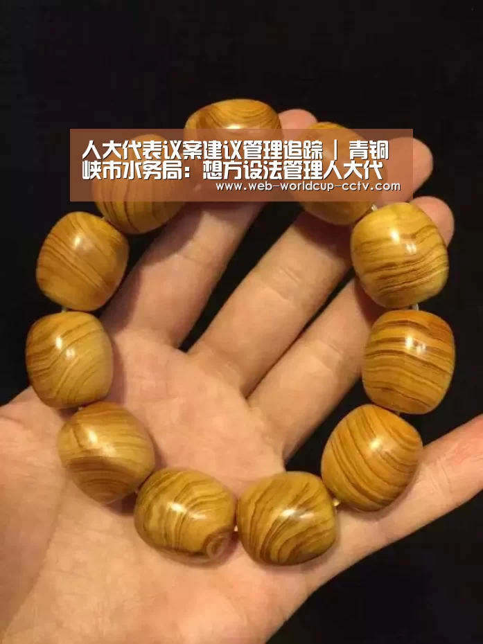 人大代表议案建议管理追踪 | 青铜峡市水务局:想方设法管理人大代表建议 真真切切解决群众排灌难问题-2026世界杯官网(图3) 世界杯买球