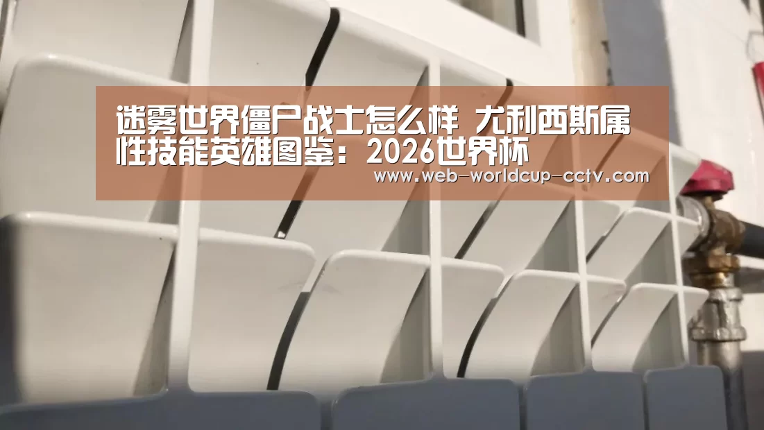 2026世界杯官网