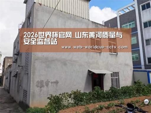 2026世界杯