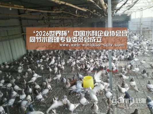 ‘2026世界杯’中国水利企业协会合同节水管理专业委员会成立(图2) 2026世界杯